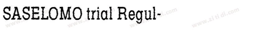 SASELOMO trial Regul字体转换